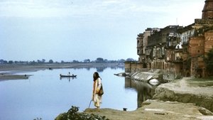 undefined Images